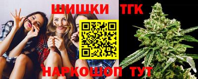 гашик Кинель